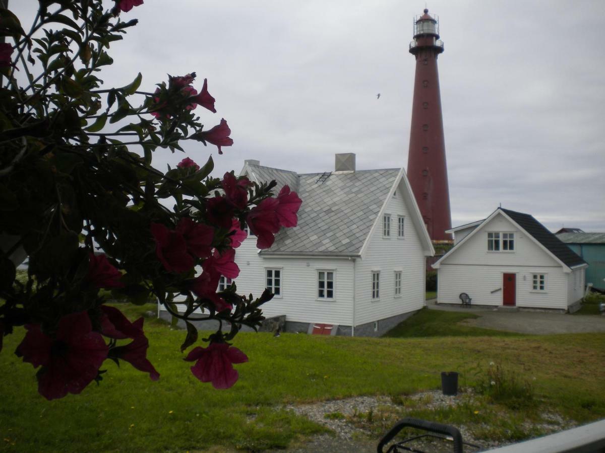 Apt 201 - Andenes Whale Safari Apartments Exterior foto